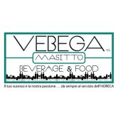 Vebega Logo